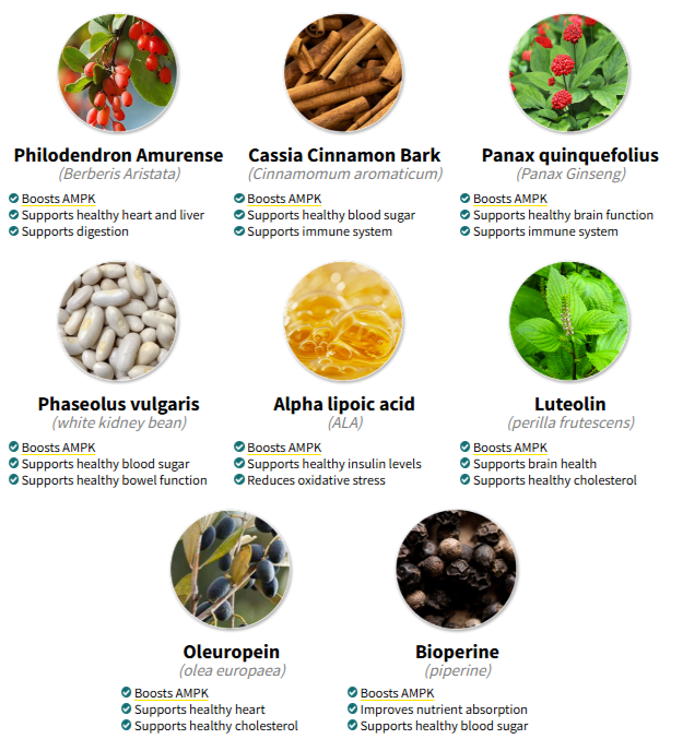 CarboFire Ingredients