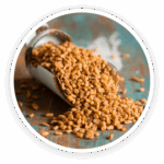 Fenugreek