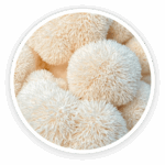 Organic Lion’s Mane