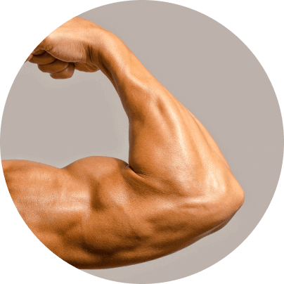 Advanced Muscle Plus Benefits