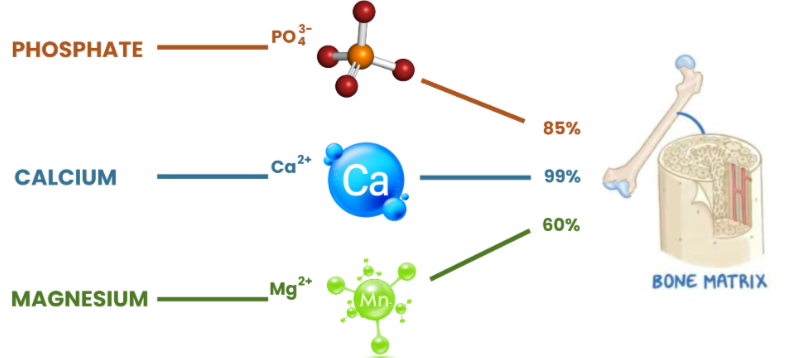Nativepath Native Fiber
